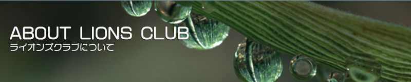 ライオンズクラブについて